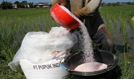 Petani menuang pupuk urea ke dalam ember sebelum ditaburkan di area persawahan (ilustrasi). Pemerintah resmi membatasi subsidi pupuk ke petani dari sebelumnya ada enam jenis pupuk yang disubsidi, kini menjadi hanya dua jenis, yakni urea dan NPK.