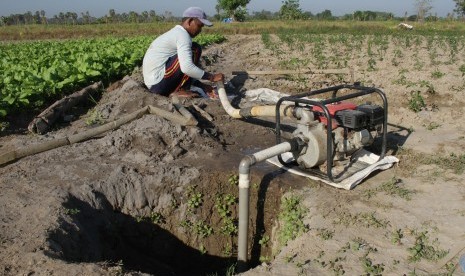 Petani menyedot air dari sumur bor untuk menyiram tanaman di area persawahan tadah hujan di Kecamatan Galesong Utara, Takalar, Sulawesi Selatan, Kamis (27/6/2019).