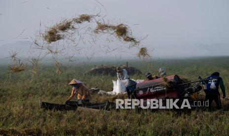 Petani merontokan gabah dengan mesin saat panen di Desa Kertawaluya, Kabupaten Karawang, Jawa Barat, Selasa (18/5/2021). Perum Bulog memastikan tidak akan impor beras untuk tahun 2021 karena masih terus melakukan penyerapan beras dalam negeri. Sementara itu hingga 17 Mei 2021 stok beras yang ada di Bulog telah mencapai 1.395.376 ton. 