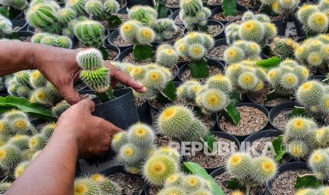 Jika Manusia Diciptakan Berpasangan, Kenapa Ada Orang yang tidak Menikah?