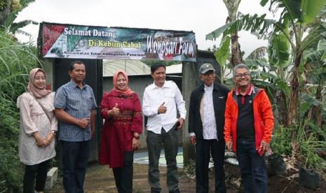 Petani milenial Provinsi Jawa Timur binaan Kementerian Pertanian RI melalui Duta Petani Milenial dan Duta Petani Andalan (DPM/DPA) diharapkan membentuk jejaring petani penyangga cabai, untuk menjaga pasokan cabai ke Pasar Induk Sidotopo Surabaya (PISS) mendukung ketersediaan cabai bagi Surabaya Raya yang meliputi Kota Surabaya, Kabupaten Gresik dan Sidoarjo.