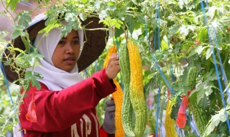 petani muda (ilustrasi)