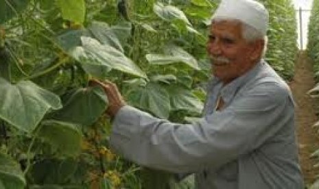 Petani Palestina di Jalur Gaza