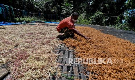 Unhas Dampingi Kelompok Budidaya Rumput Laut (ilustrasi).