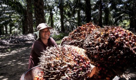 Petani Sawit.