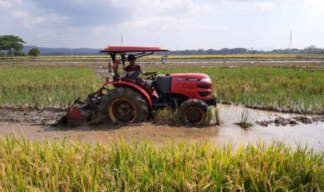 Petani sedang menggarap lahan (ilustrasi).