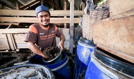 Petani Subang membuat program silase agar tak kekurangan pakan saat musim kemarau.