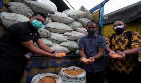 Peternak ayam petelur Suroto (tengah) bersama perwakilan dari Sekretariat Presiden menunjukkan kondisi jagung bantuan dari Presiden Joko Widodo saat penyerahan di Blitar, Jawa Timur, Senin (20/9/2021). Center for Indonesian Policy Studies (CIPS), menilai, aturan untuk mengimpor jagung perlu dilonggarkan untuk menjaga kestabilan harga pakan.