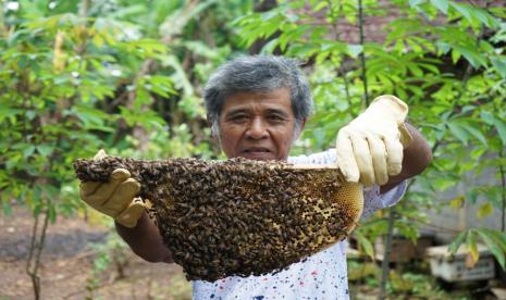 Peternak budidaya madu hutan dengan produk yang dihasilkan yakni 