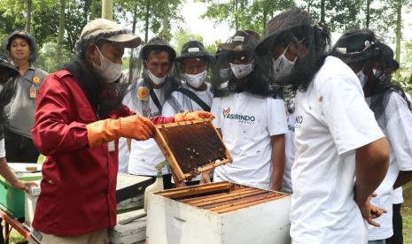 Peternak Lebah Liar (Apis Cerana) KTH Alam Roban, Batang, Jawa tengah, melakukan studi banding ke Madu Pramuka di Cibubur, Jawa Barat.