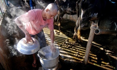 Peternak memanfaatkan energi biogas yang berasal dari kotoran sapi untuk memasak air perangsang keluarnya susu saat memerah di salah satu peternakan di Getasan, Kabupaten Semarang, Jawa Tengah, Senin (5/9).