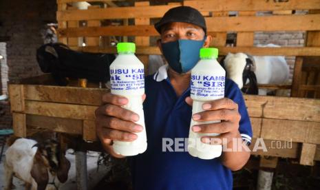 Peternak menunjukkan susu kambing jenis Etawa (Capra aegagrus hircus) di peternakannya di Dukuh Gerung, Kaliwungu, Kudus, Jawa Tengah. Susu kambing disebut sebagai alternatif yang sangat baik untuk pengganti susu sapi karena kaya akan nutrisi penting, lebih mudah dicerna dan lebih rendah laktosa.