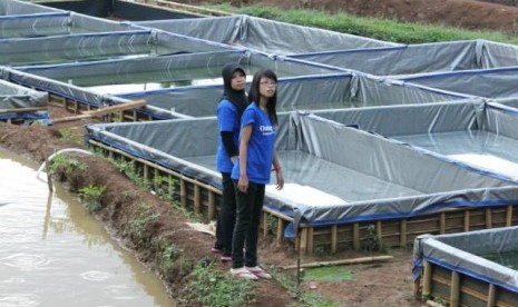 Peternakan Ikan di Tegal Waru