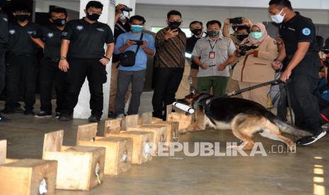 Petugas Badan Narkotika Nasional (BNN) menggunakan anjing pelacak K-9 untuk menemukan keberadaan narkotika saat simulasi di gedung fasilitas anjing pelacak narkotika (Unit Deteksi K-9) BNN, Lido, Kabupaten Bogor, Jawa Barat, Senin (7/9/2020). Unit Deteksi K-9 bertugas membantu BNN dalam mengungkap tindak pidana peredaran narkotika di Indonesia.