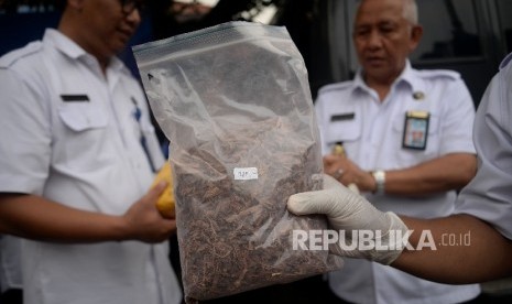 Petugas Badan Narkotika Nasional (BNN) menunjukan barang bukti narkoba sebelum dilakukan pemusnahan di Kantor BNN, Jakarta, Kamis (17/5). 