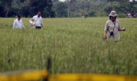 Petugas Badan Pengawas Tenaga Nuklir (Bapetan) dan Badan Tenaga Nuklir Nasional (Batan) melakukan penelitian lokasi crop circle di Jogotirto, Berbah, Sleman, Selasa (25/1).