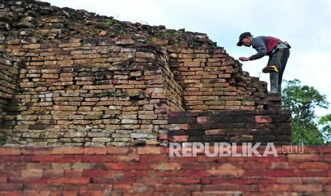 Petugas Balai Pelestarian Cagar Budaya (BPCB) Jambi membersihkan lumut dan rumput pada struktur situs Candi Gedong I, Kawasan Percandian Muarajambi, Muarojambi, Jambi, Selasa (23/11/2021). 