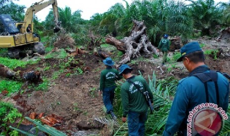 Petugas bersenjata mengawal pembongkaran kebun kelapa sawit ilegal pada Operasi Balai Taman Nasional Tesso Nilo di Desa Bagan Limau, Kabupaten Pelalawan 