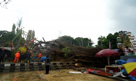 Petugas berupaya menyingkirkan pohon beringin yang tumbang di Lapangan Denggung, Sleman, D.I Yogyakarta, Senin (13/6/2022). Pohon beringin besar yang tumbang saat hujan disertai angin kencang itu menimpa wahana permainan kora-kora, tidak ada korban jiwa dalam peristiwa itu. 