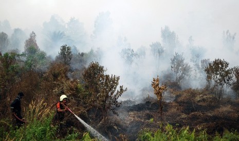 Petugas berusaha memadamkan kebakaran lahan gambut di Desa Rimbo Panjang, Kabupaten Kampar, Riau, Kamis (6/10). 