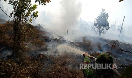 Petugas berusaha memadamkan kebakaran lahan gambut di Desa Rimbo Panjang, Kabupaten Kampar, Riau.