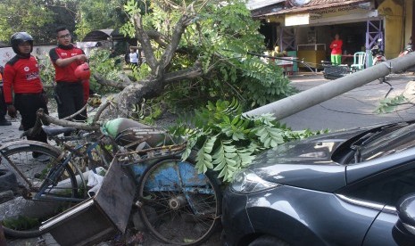 Pemerintah Kota (Pemkot) Bandung akan memberikan asuransi kepada pemilik kendaraan yang rusak akibat tertimpa pohon periode Oktober 2020 hingga Oktober 2021. Selain itu, asuransi juga akan diberikan kepada masyarakat yang menjadi korban tertimpa pohon yang dikelola oleh pemerintah.