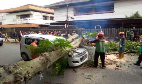 Petugas BPBD dan Disperumkim Kota Bogor mengevakuasi pohon tumbang yang menimpa mobil di Jalan MA Salmun, Kecamatan Bogor Tengah, Kota Bogor. 