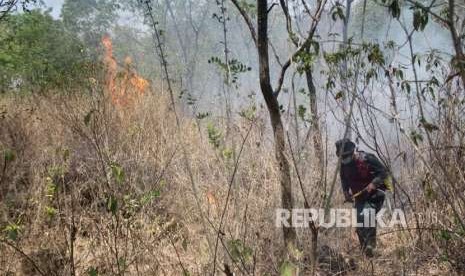 Petugas BPBD Kabupaten Kuningan melakukan pemadaman sapi saat kebakaran melanda kawasan hutan Taman Nasional Gunung Ciremai, di Kuningan, Jawa Barat, Selasa (2/10). 