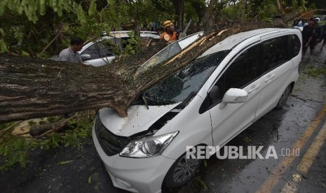 Petugas BPBD menangani pohon tumbang yang menimpa mobil di Denpasar, Bali (Ilustrasi)