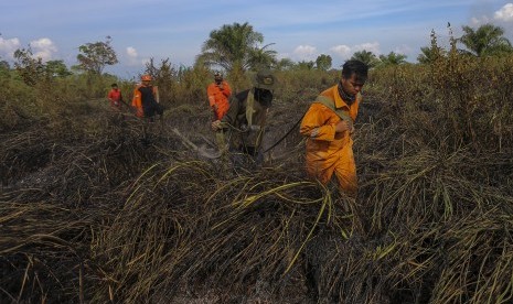 Petugas menarik selang air saat akan melakukan pemadaman kebakaran lahan. ilustrasi