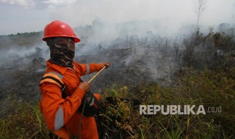 Petugas Brigdakarhutla Dinas Kehutanan berupaya memadamkan kebakaran lahan gambut (ilustrasi)