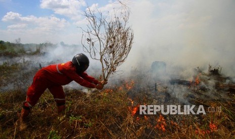 Petugas Brigdakarhutla Dinas Kehutanan berupaya memadamkan kebakaran lahan gambut di Ray enam Desa Sungai Batang, Kabupaten Banjar, Kalimantan Selatan, Rabu (28/8/2019).