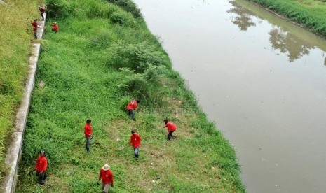 Petugas dari Balai Besar Pekerjaan Umum membersihkan tanaman liar di sepanjang aliran Kanal Banjir Timur, Jakarta, Rabu (16/4).