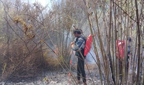 Petugas dari berbagai tim masih berusaha memadamkan api di kawasan Gunung Semeru. 