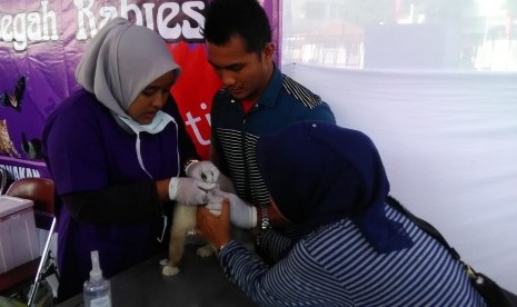 Pemeriksaan dan vaksinasi rabies terhadap hewan peliharaan milik warga (ilustrasi) 