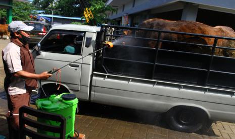 Petugas dari Dinas Peternakan menyemprotkan cairan disinfektan di Pasar Hewan Singosari, Malang, Jawa Timur, Jumat (13/5/2022). Pemerintah setempat berupaya mencegah penyebaran wabah penyakit mulut dan kuku (PMK) dengan memastikan kesehatan hewan ternak di pasaran, melakukan penyemprotan disinfektan serta menutup sementara pasar hewan guna membatasi sapi yang masuk dari luar daerah.