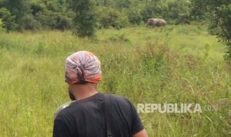 Petugas dari Pemerintah Kabupaten Musi Banyuasin (Pemkab Muba) bekerjasama dengan  Balai Konservasi Sumber Daya Alam (BKSDA) Sumatera Selatan (Sumsel), Kamis (29/11) turun ke Kecamatan Batanghari Leko untuk mengatasi serangan gajah liar yang menyerang kebun dan pemukiman warga.