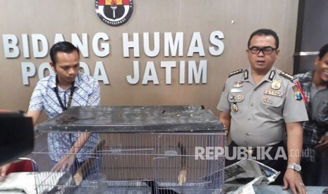 Petugas dari Polda Jatim menunjukan tersangka dan barang bukti dalam kasus jual beli satwa langka berupa beberapa jenis burung, di Mapolda Jatim, Surabaya, Jumat (6/4).