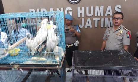 Petugas dari Polda Jatim menunjukkan tersangka dan barang bukti kasus jual beli satwa langka berupa beberapa jenis burung di Mapolda Jatim, Jumat (6/4)