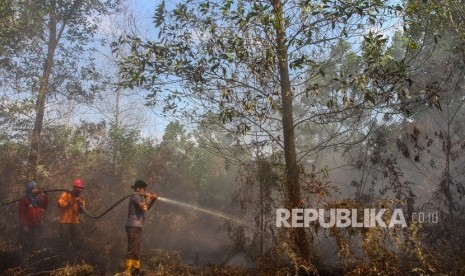 Petugas dari Satgas Karhutla Provinsi Riau berusaha memadamkan bara api yang membakar lahan gambut di Desa Karya Indah, Kabupaten Kampar, Riau, Jumat (26/07/2019). 