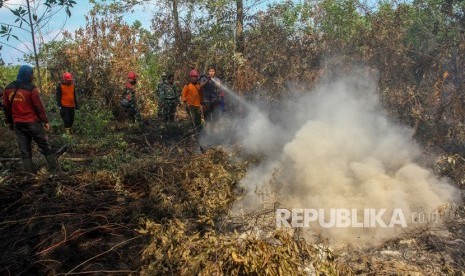 Petugas dari Satgas Karhutla Provinsi Riau berusaha memadamkan bara api yang membakar lahan gambut (ilustrasi)