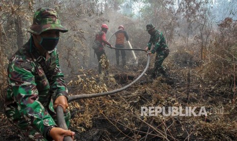 Petugas dari Satgas Karhutla Provinsi Riau berusaha memadamkan bara api yang membakar lahan gambut di Desa Karya Indah, Kabupaten Kampar, Riau, Jumat (26/07/2019). 