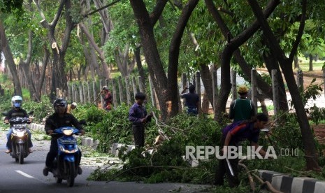 Petugas Dinas Kebersihan Dan Pertamanan (DKP) Jakarta Timur memangkas pohon di kawasan Banjir Kanal Timur (BKT) di Jalan Kolonel Sugiono, Jakarta Timur, Senin (26/12).