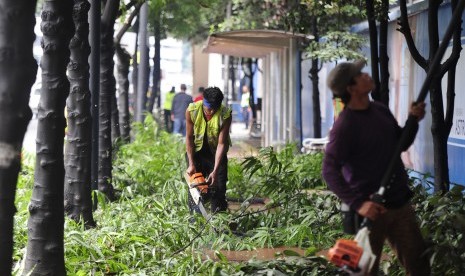 Petugas Dinas Pertamanan dan Pemakaman DKI Jakarta melakukan penebangan dahan pohon di Kawasan Protokol Jenderal Sudirman, Jakarta Pusat, Rabu (2/3).