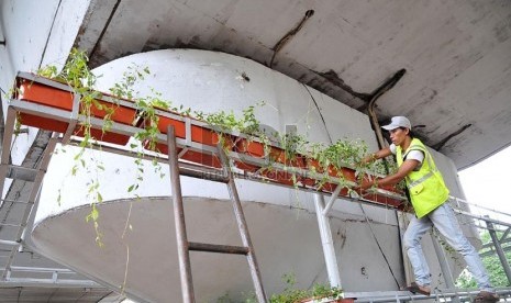  Petugas dinas pertamanan DKI Jakarta memasang tanaman di taman vertikal di kawasan Kalibata, Jakarta, Selasa (17/12).  (Republika/Prayogi)