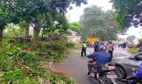 Petugas Dinas Perumahan dan Permukiman (Disperumkim) Kota Bogor menangani pohon tumbang di Kelurahan Menteng, Kecamatan Bogor Barat, Kota Bogor, Kamis (9/2/2023). Angin kencang yang melanda Bogor sebabkan pohon tumbang dan rumah rusak.