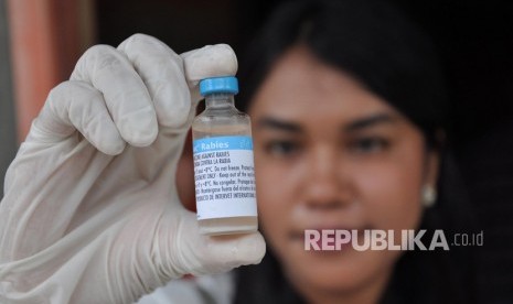 Petugas dokter hewan memperlihatkan vaksin rabies (ilustrasi)