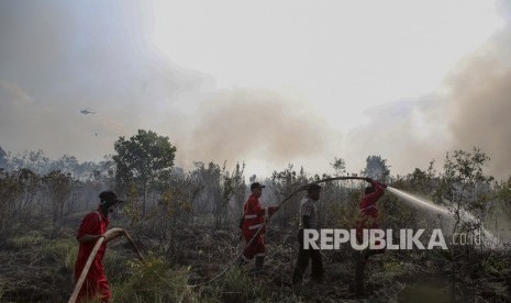 Forest fire in Semambu Island, Ogan Ilir, South Sumatra. (File photo) 