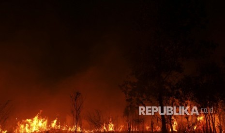 Kebakaran lahan di Sumatra Selatan. ilustrasi