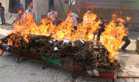 Petugas Kejaksaan bersama pejabat Muspida membakar barang bukti narkotika jenis sabu-sabu dan ganja saat pemusnahan di Kantor Kejaksaan Negeri Idi Rayeuk, Aceh Timur, Aceh, Kamis (10/3). 